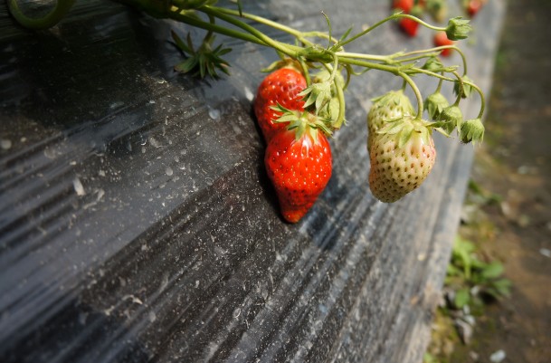 圖片關(guān)鍵詞