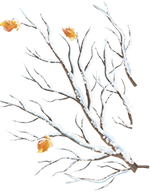 圖片關(guān)鍵詞