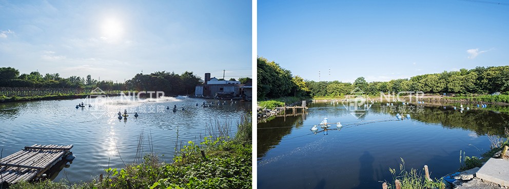 1702430008100066.jpg 05-1溫泉養魚(yú).jpg